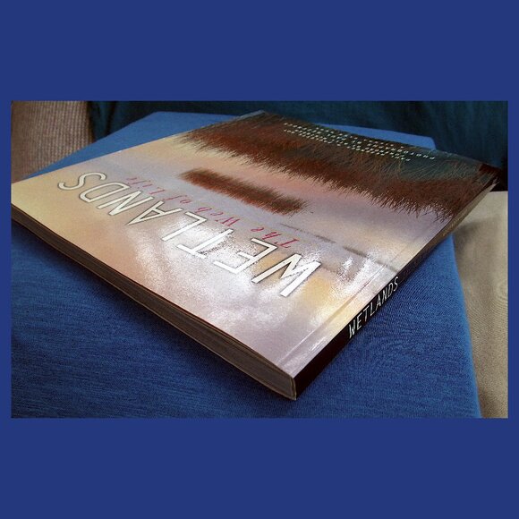 Book - Wetlands: The Web of Life, by Paul Rezendes and Paulette Roy - Picture 12 of 13